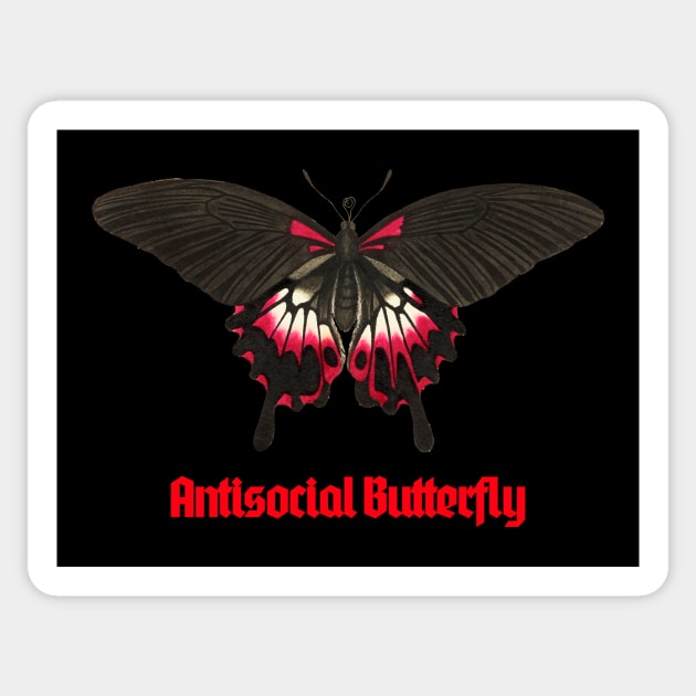 Antisocial Butterfly Sticker by My Tribe Apparel